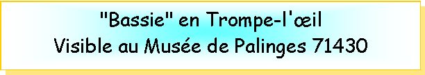Zone de Texte: "Bassie" en Trompe-l'il Visible au Muse de Palinges 71430