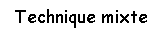 Zone de Texte: Technique mixte